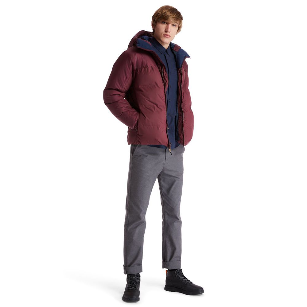 Chaquetas Timberland Argentina Hombre - Neo Summit Hooded Invierno - Burdeos - HBXZLP-184